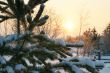 The Freezing day
