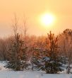 The Freezing day