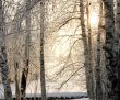 The Freezing day