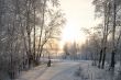 The Freezing day