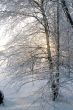 The Freezing day