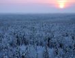 The Freezing day