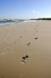 Footprint on the beach