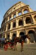 colosseum and horse