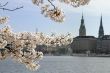 Springtime in the city