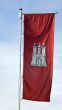 Flag in the wind