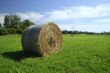 Straw ball