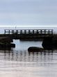 Bridge Over Calm Water