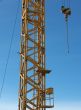 Crane Closeup