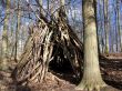 Forrest Hut