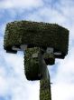 Military Radar