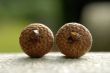 Acorns