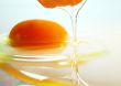 Yolk and Protein