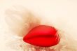 Heart of Romance