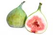 Ficus