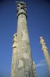 Columns, Apadana