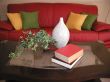 Red Sofa and Table