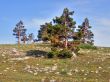 Mountain landscape. Crimea.