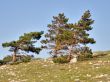 Mountain landscape. Crimea.
