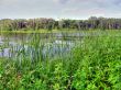 Lake.
