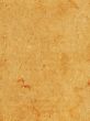 paper