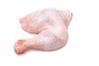 chicken leg