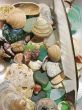 Sea shells