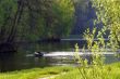 Downstream