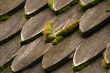 old roof