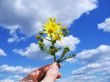 Hand with flowers