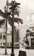 On Rodeo Drive