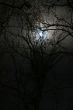 winter night road