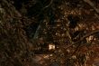 Small house in winter forest