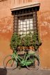 Roman Bike