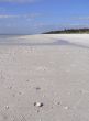 Beautiful sandy beach in Florida USA