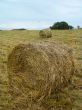 Roll of hay