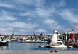 Seagull