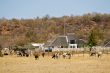 Farm agriculture