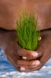 save the environment