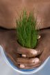 save the environment