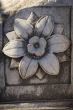 stone flower