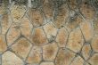 wall 5