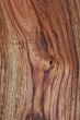 Wood Texture: Camphor Laurel