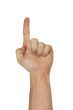 Hand Pointing - With clipping path