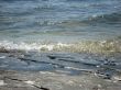 Seashore