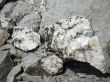 Breaks stone