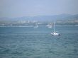 Sailboats in bay