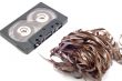 empty cassette