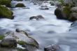 small creek with a lot of stones and rocks