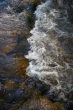 small rapids in a river